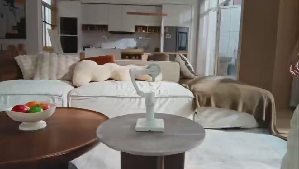 MOGO smart-gimbal-vido